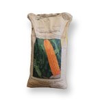 بذر ذرت سینگل کراس در ایمانشهر در گروه خرید و فروش بذر ذرت در یکمیوه