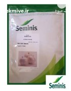 بذر پیاز زودرس بذر پیاز 4043 در باخرز در گروه خرید و فروش بذر پیاز در یکمیوه