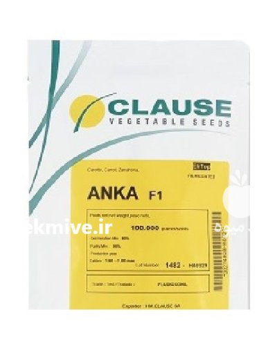 بذر هویج هیبرید آنکا واریته ای در باقرشهر در گروه خرید و فروش بذر هویج در یکمیوه -عکس1