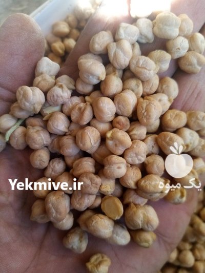 فروش 2 تن نخود در سنقر در گروه خرید و فروش غلات و حبوبات در یکمیوه -عکس1