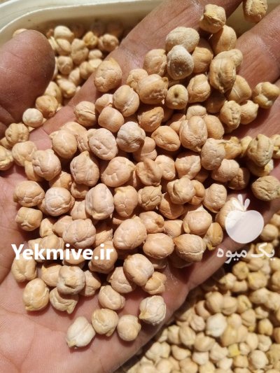 فروش 2 تن نخود در سنقر در گروه خرید و فروش غلات و حبوبات در یکمیوه -عکس3