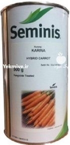 بذر هویج کارینا در برف انبار در گروه خرید و فروش بذر هویج در یکمیوه