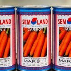 بذر هویج مارس f 1 در بایگ در گروه خرید و فروش بذر هویج در یکمیوه