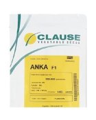 بذر هویج هیبرید آنکا واریته ای در باقرشهر در گروه خرید و فروش بذر هویج در یکمیوه