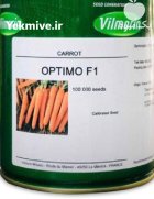 بذر هویج اپتیمو در بلبان آباد در گروه خرید و فروش بذر هویج در یکمیوه
