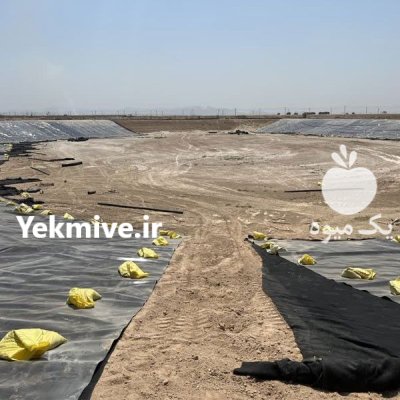 فروش عایق ژئوممبران با عرض بالا در بوشهر در گروه خرید و فروش ژئوممبران و ژئوتکستایل در یکمیوه -عکس3