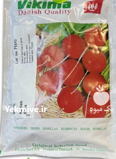 بذر تربچه ساکسا ویکیما در اسفرورین در گروه خرید و فروش بذر صیفی جات در یکمیوه -عکس1