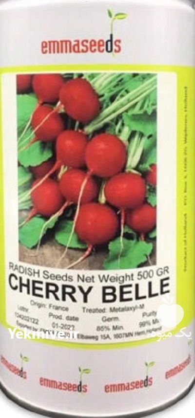 بذر تربچه چریبل اماسید در کرمان در گروه خرید و فروش بذر صیفی جات در یکمیوه -عکس1