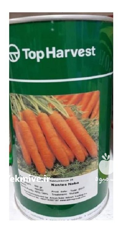 بذر هویج سانمیک نابا در آمل در گروه خرید و فروش بذر هویج در یکمیوه -عکس1