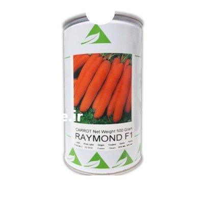 بذر هویج رایموند هلند زادن در اندوهجرد در گروه خرید و فروش بذر هویج در یکمیوه -عکس1