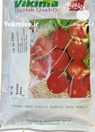 بذر تربچه ساکسا ویکیما در اسفرورین در گروه خرید و فروش بذر صیفی جات در یکمیوه