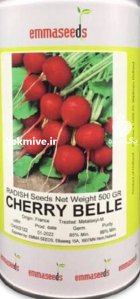 بذر تربچه چریبل اماسید در کرمان در گروه خرید و فروش بذر صیفی جات در یکمیوه