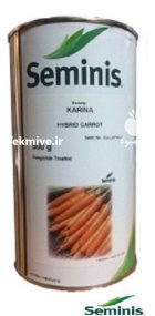 بذر هویج کارینا در الوند در گروه خرید و فروش بذر هویج در یکمیوه