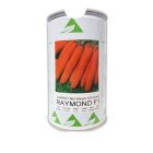 بذر هویج رایموند هلند زادن در اندوهجرد در گروه خرید و فروش بذر هویج در یکمیوه