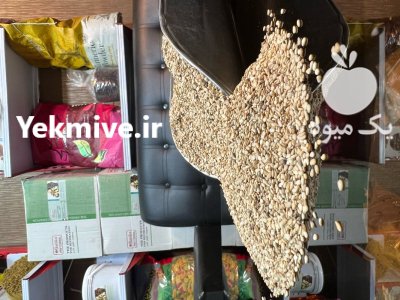 کنجد روغن گیری در تهران در گروه خرید و فروش دانه های روغنی در یکمیوه -عکس1