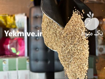 کنجد روغن گیری در تهران در گروه خرید و فروش دانه های روغنی در یکمیوه -عکس2