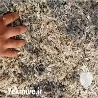 قیمت خرید تفاله چغندر قند پرک در تهران در گروه خوراک دام و طیور در یکمیوه