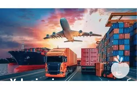 گروه لجستیک و بازرگانی محمدی در تهران در گروه ترخیص کالا در یکمیوه -عکس1