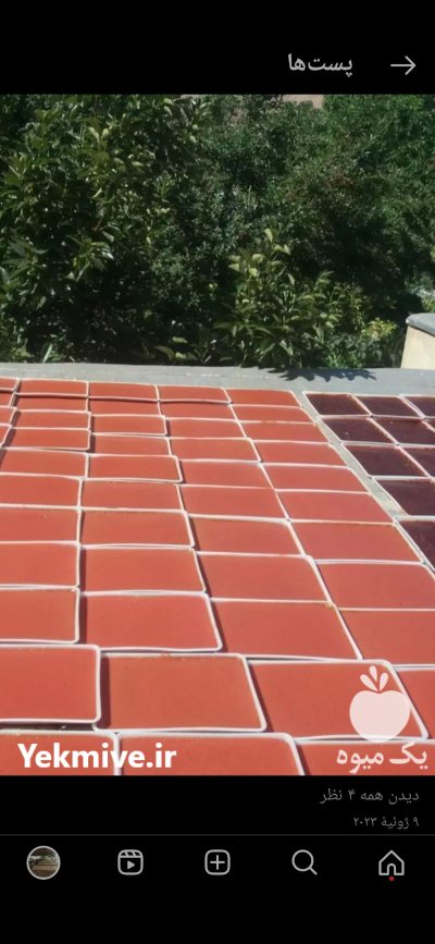 فروش آلو و لواشک آفتاب خشک در خوانسار در گروه فرآورده های آلو و آلوچه در یکمیوه -عکس4