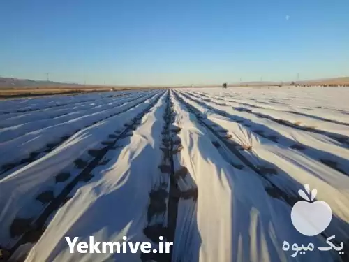 قیمت خرید فوم های ویژه ضدسرما در دره شهر در گروه خرید و فروش انواع پوشش ها در یکمیوه -عکس1