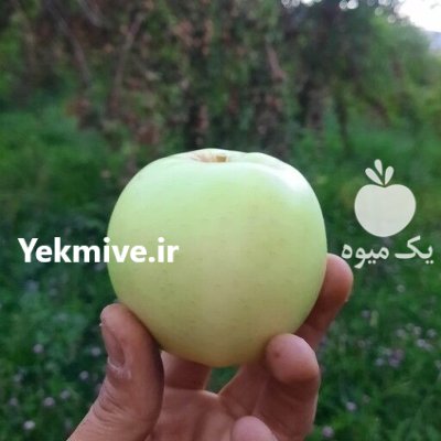 سیب سوپر سمیرم در تهران در گروه خرید و فروش سیب در یکمیوه -عکس3