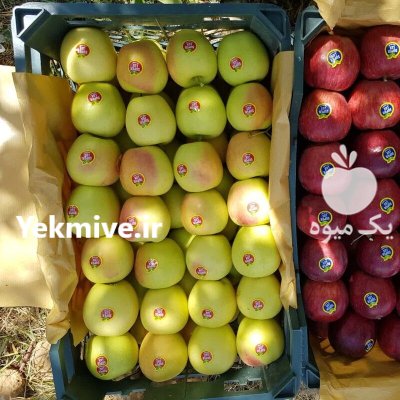سیب سوپر سمیرم در تهران در گروه خرید و فروش سیب در یکمیوه -عکس2