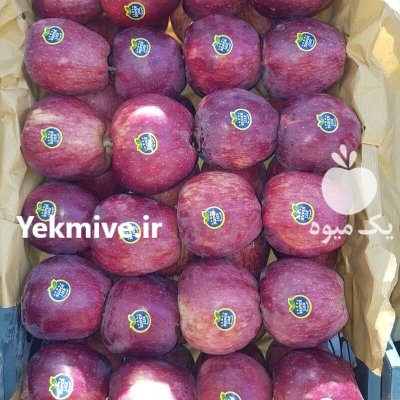 سیب سوپر سمیرم در تهران در گروه خرید و فروش سیب در یکمیوه -عکس1
