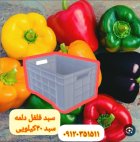 سبد فلفل دلمه سبد گلخانه در اصفهان در گروه خرید و فروش انواع سبد در یکمیوه