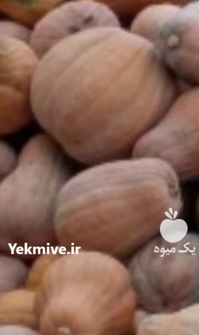 فروش کدو حلوایی اندازه کوچک و متوسط در تهران در گروه خرید و فروش کدو در یکمیوه -عکس3