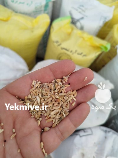 گندم شکسته در گنبد کاووس در گروه خرید و فروش گندم و جو در یکمیوه -عکس1