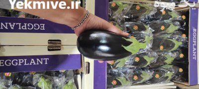 قیمت بادمجان لامپی گلخانه ای یزد در گروه خرید و فروش بادمجان در یکمیوه -عکس1
