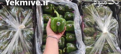 فلفل دلمه سبز گلخانه ای یزد در گروه خرید و فروش فلفل در یکمیوه -عکس1