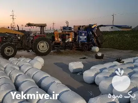 فروش دستگاه بسته بندی ذرت علوفه 100 در شوش در گروه خرید و فروش تجهیزات بسته بندی در یکمیوه -عکس1