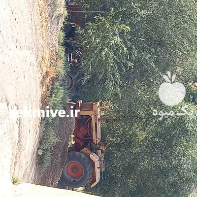 تراکتور کیس 1030 در بیجار در گروه خرید و فروش انواع تراکتور در یکمیوه -عکس3