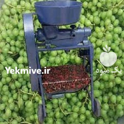 قیمت بهترین دستگاه آبغوره گیری در اسلامشهر در گروه انواع آبمیوه ها و آبگیری ها در یکمیوه -عکس1