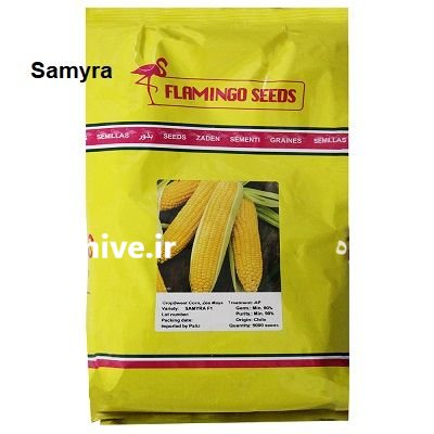 بذر ذرت Samyra فلامینگو سیدز در ساری در گروه خرید و فروش بذر ذرت در یکمیوه -عکس1