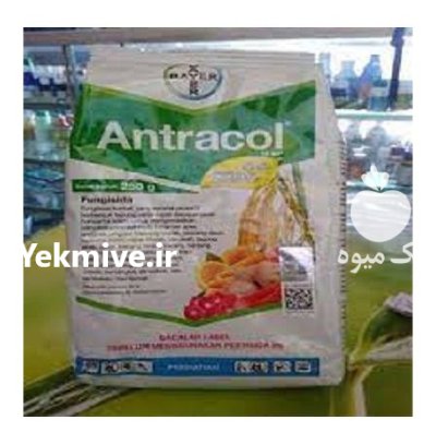سم قارچ کش آنتراکول در بلداجی در گروه خرید و فروش انواع سم در یکمیوه -عکس1