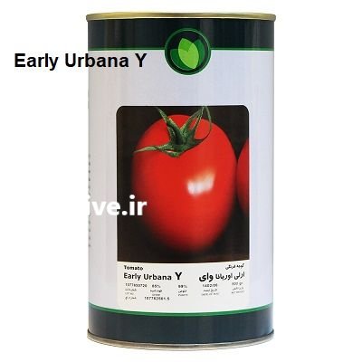 بذر گوجه فرنگی فضای باز و ای در مشهد در گروه خرید و فروش بذر گوجه در یکمیوه -عکس1