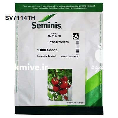 بذر گوجه گلخانه ای 7114 سمینیس در مشهد در گروه خرید و فروش بذر گوجه در یکمیوه -عکس1