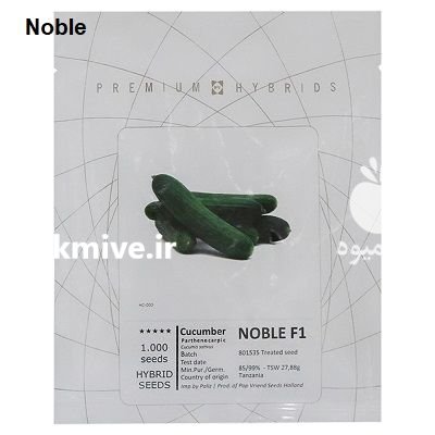 بذر خیار هیبرید نوبل پوپ هلند در مشهد در گروه خرید و فروش بذر خیار در یکمیوه -عکس1