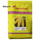 بذر ذرت Samyra فلامینگو سیدز در ساری در گروه خرید و فروش بذر ذرت در یکمیوه