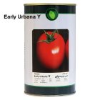 بذر گوجه فرنگی فضای باز و ای در مشهد در گروه خرید و فروش بذر گوجه در یکمیوه