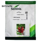 بذر گوجه گلخانه ای 7114 سمینیس در مشهد در گروه خرید و فروش بذر گوجه در یکمیوه