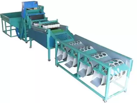 فروش سورتینگ و درجه بندی خرمالو در مشهد در گروه سورتینگ در یکمیوه -عکس1