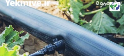 لوله های پلی اتیلن تاشو در امیدیه در گروه خرید و فروش لوله کشاورزی در یکمیوه -عکس1