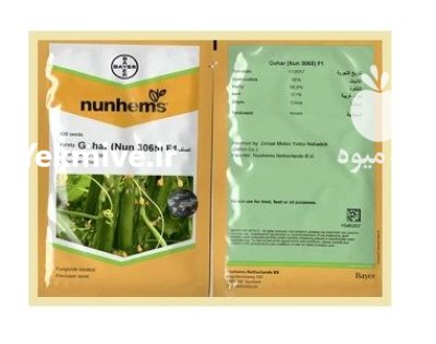 بذر خیار پرگل گوهر Gohar نانهمز در کرمان  در گروه خرید و فروش بذر خیار در یکمیوه -عکس1