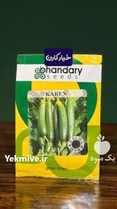 بذر خیار کارن بذر خیار در بندرعباس در گروه خرید و فروش بذر خیار در یکمیوه -عکس1