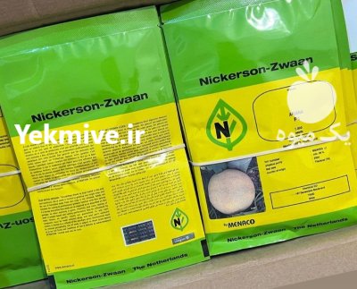 بذر ملون اریانا در تهران در گروه خرید و فروش بذر ملون در یکمیوه -عکس1