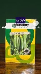 بذر خیار کارن بذر خیار در بندرعباس در گروه خرید و فروش بذر خیار در یکمیوه