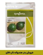 بذر هندوانه تاپ گان زودرس در بجنورد در گروه خرید و فروش بذر هندوانه در یکمیوه